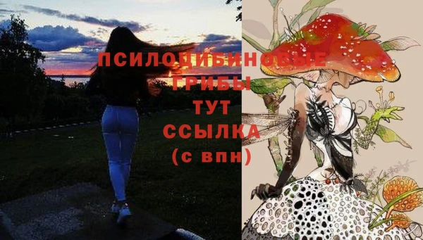 трава Верхнеуральск
