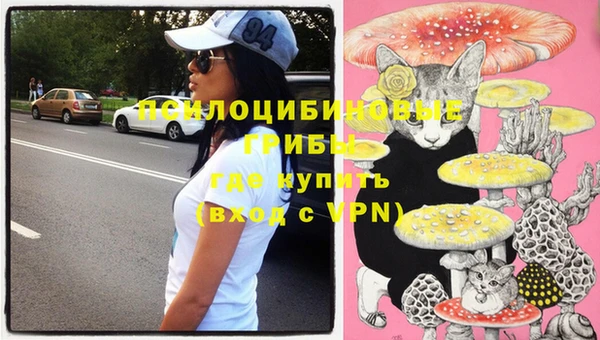 спайс Верея