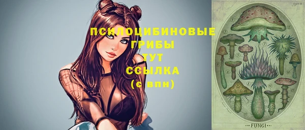 PSILOCYBIN Верхний Тагил